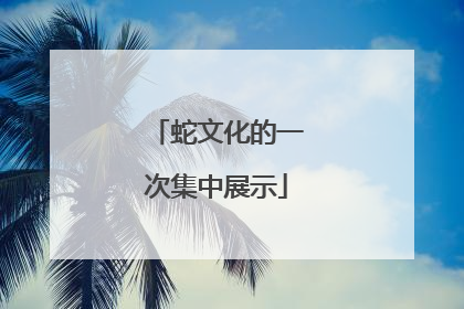 蛇文化的一次集中展示