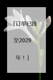 订单已排至2029年！