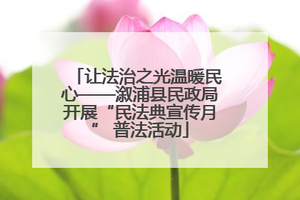 让法治之光温暖民心——溆浦县民政局开展“民法典宣传月” 普法活动