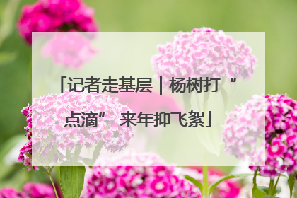 记者走基层｜杨树打“点滴” 来年抑飞絮