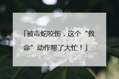 被毒蛇咬伤，这个“救命”动作帮了大忙！