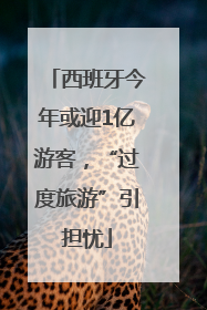 西班牙今年或迎1亿游客，“过度旅游”引担忧