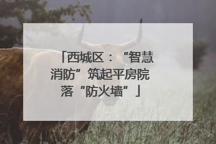 西城区：“智慧消防”筑起平房院落“防火墙”