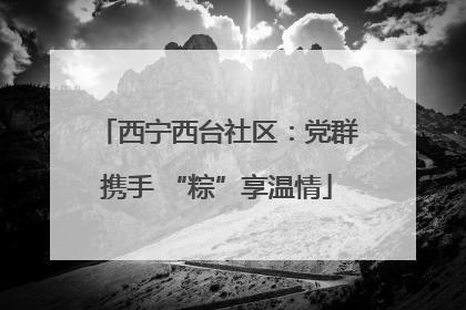 西宁西台社区：党群携手 “粽”享温情