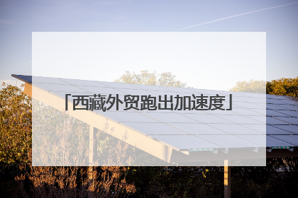 西藏外贸跑出加速度