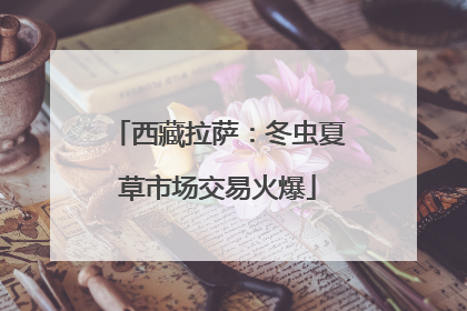 西藏拉萨：冬虫夏草市场交易火爆