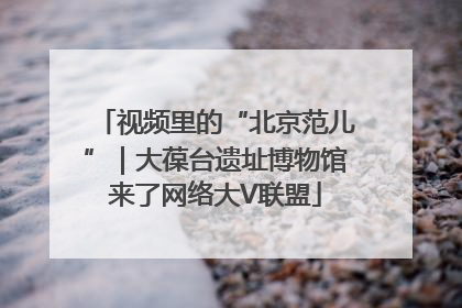 视频里的“北京范儿”｜大葆台遗址博物馆来了网络大V联盟