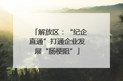解放区：“纪企直通”打通企业发展“肠梗阻”