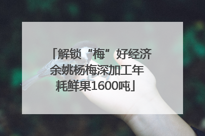 解锁“梅”好经济 余姚杨梅深加工年耗鲜果1600吨