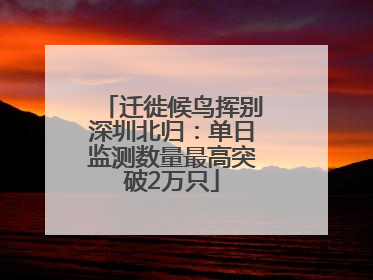 迁徙候鸟挥别深圳北归：单日监测数量最高突破2万只