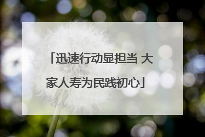 迅速行动显担当 大家人寿为民践初心