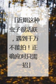 近期这种虫子很活跃，遇到千万不能拍！正确应对只需一招
