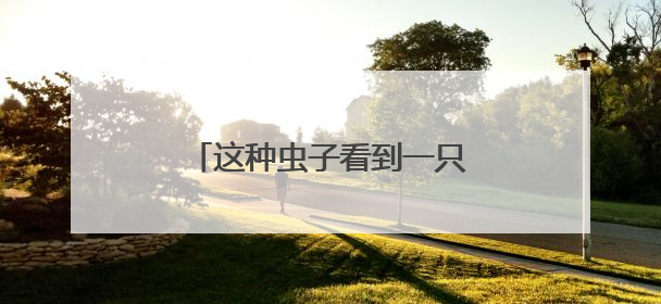 这种虫子看到一只，家里很可能已有一万只（不是蟑螂）