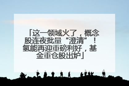 这一领域火了，概念股连夜批量“澄清”！氢能再迎重磅利好，基金重仓股出炉