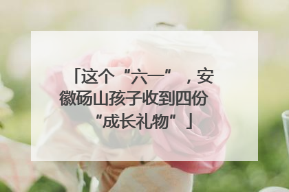 这个“六一”，安徽砀山孩子收到四份“成长礼物”