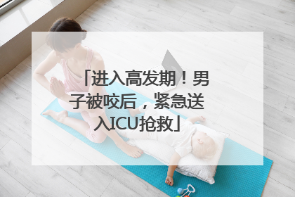 进入高发期！男子被咬后，紧急送入ICU抢救