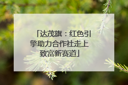 达茂旗：红色引擎助力合作社走上致富新赛道