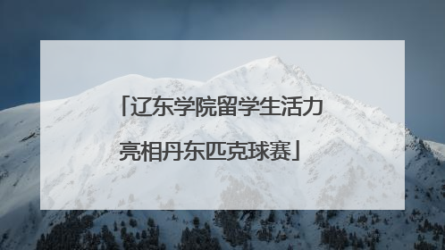 辽东学院留学生活力亮相丹东匹克球赛