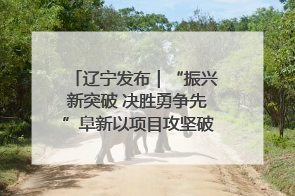 辽宁发布｜“振兴新突破 决胜勇争先”阜新以项目攻坚破解发展瓶颈 经济发展实现良好开局
