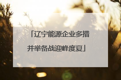 辽宁能源企业多措并举备战迎峰度夏
