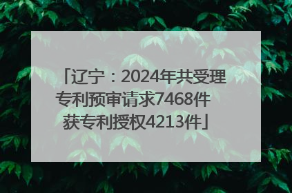 辽宁：2024年共受理专利预审请求7468件 获专利授权4213件