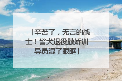 辛苦了，无言的战士！警犬退役撒娇训导员湿了眼眶