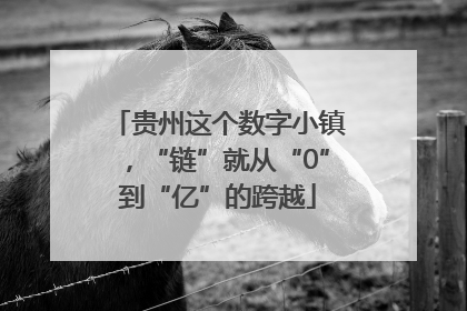 贵州这个数字小镇，“链”就从“0”到“亿”的跨越