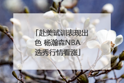赴美试训表现出色 杨瀚森NBA选秀行情看涨