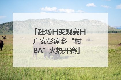 赶场日变观赛日 广安彭家乡“村BA”火热开赛