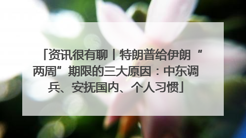 资讯很有聊丨特朗普给伊朗“两周”期限的三大原因：中东调兵、安抚国内、个人习惯