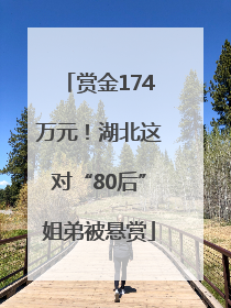 赏金174万元！湖北这对“80后”姐弟被悬赏
