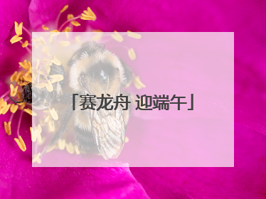 赛龙舟 迎端午