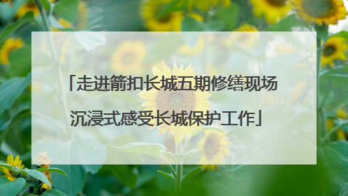 走进箭扣长城五期修缮现场 沉浸式感受长城保护工作