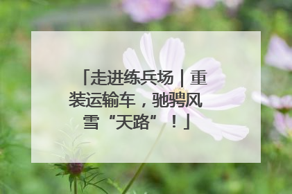 走进练兵场｜重装运输车，驰骋风雪“天路”！
