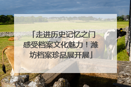 走进历史记忆之门 感受档案文化魅力！潍坊档案珍品展开展