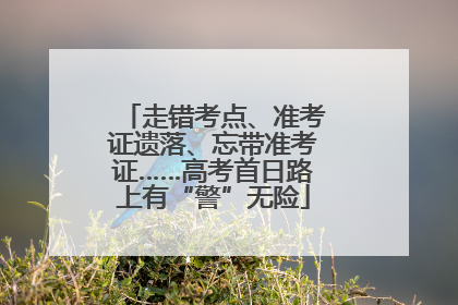 走错考点、准考证遗落、忘带准考证……高考首日路上有“警”无险