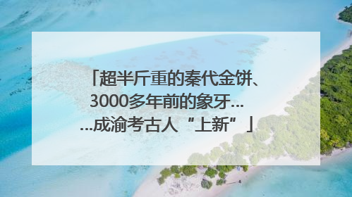 超半斤重的秦代金饼、3000多年前的象牙……成渝考古人“上新”