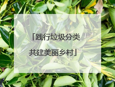 践行垃圾分类 共建美丽乡村