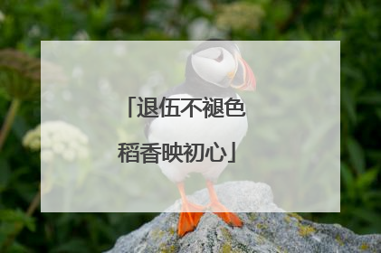 退伍不褪色 稻香映初心