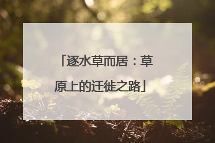 逐水草而居：草原上的迁徙之路