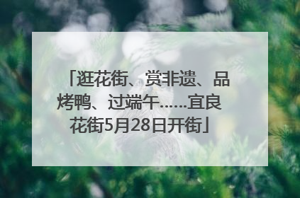 逛花街、赏非遗、品烤鸭、过端午……宜良花街5月28日开街