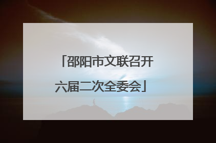 邵阳市文联召开六届二次全委会
