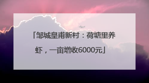 邹城皇甫新村：荷塘里养虾，一亩增收6000元