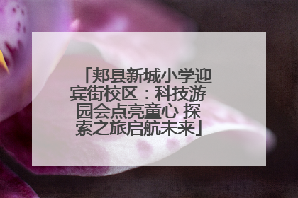 郏县新城小学迎宾街校区：科技游园会点亮童心 探索之旅启航未来