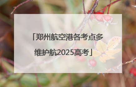郑州航空港各考点多维护航2025高考