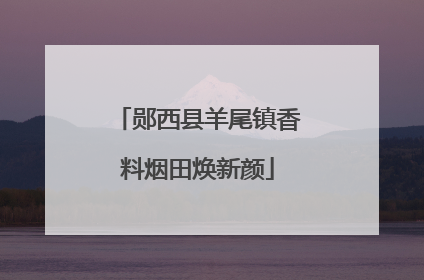郧西县羊尾镇香料烟田焕新颜