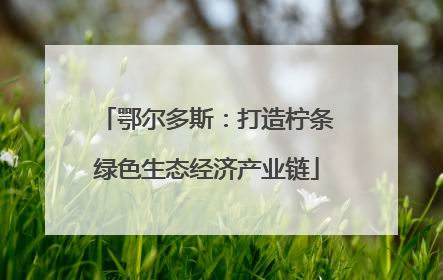 鄂尔多斯：打造柠条绿色生态经济产业链