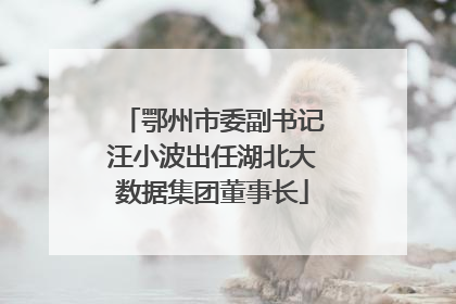 鄂州市委副书记汪小波出任湖北大数据集团董事长