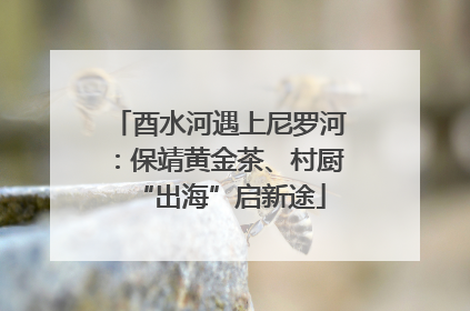 酉水河遇上尼罗河：保靖黄金茶、村厨“出海”启新途