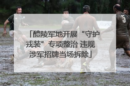 醴陵军地开展“守护戎装”专项整治 违规涉军招牌当场拆除